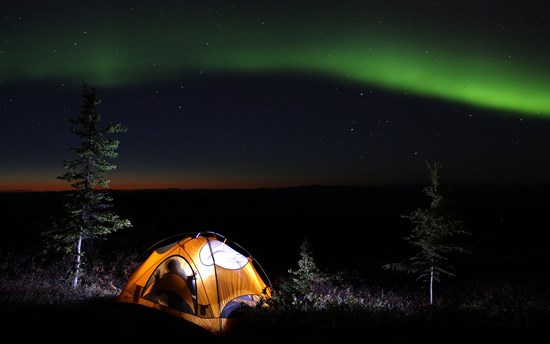 Ayşe, Under the Summer Aurora, Fairbanks North Star Borough, Alaska  PHOTO: James David Broome