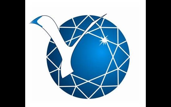 North-Eastern Federal University logo