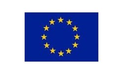 European Union Flag logo