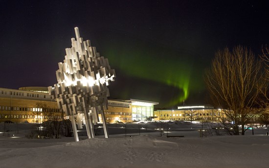 Northern lights over the main campus of Umeå University