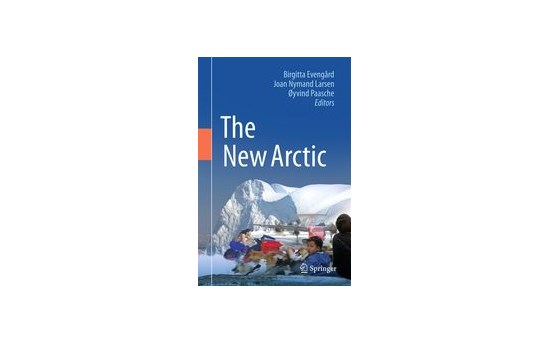 The New Arctic cover image