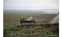 Yamal expedition