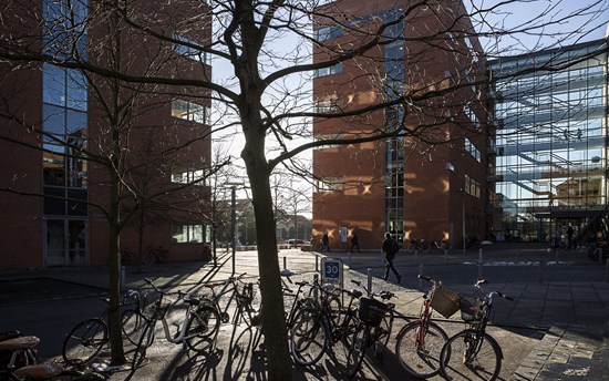 Aarhus University profile 6