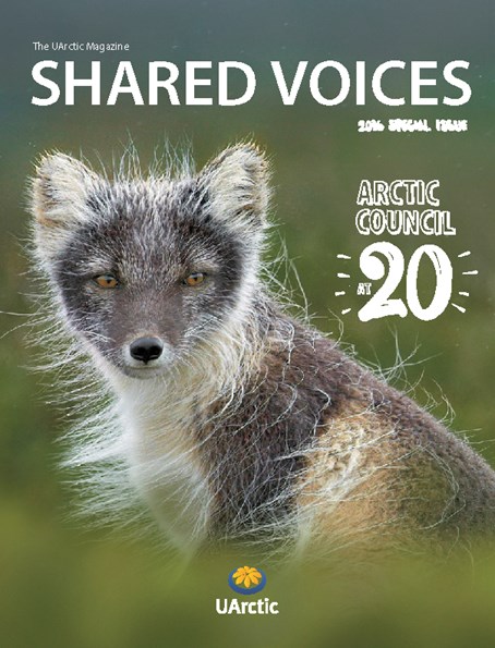Shared Voices Magazine 2016 Special Issue - cover
