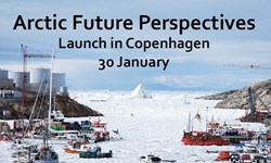 Arctic Future Perspectice 2017.jpg