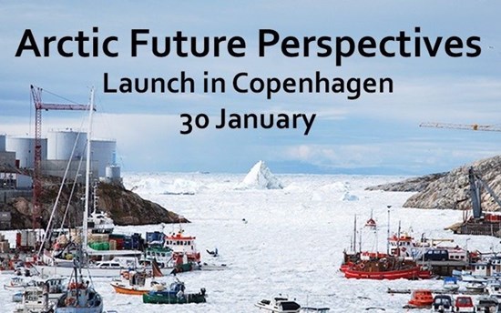 Arctic Future Perspectice 2017.jpg