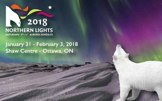 Northern Lights 2018.jpg