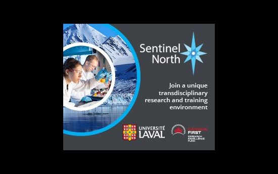 Sentinel North banner.jpg