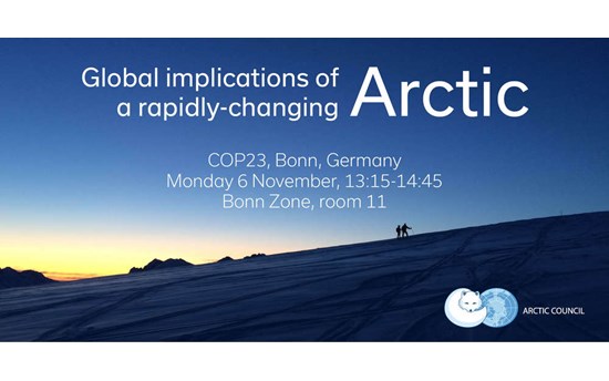 Arctic Council COP23 event.jpg