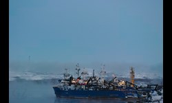 Fishing trawlers in Kirkenes harbor  Photo: Gerald Zojer