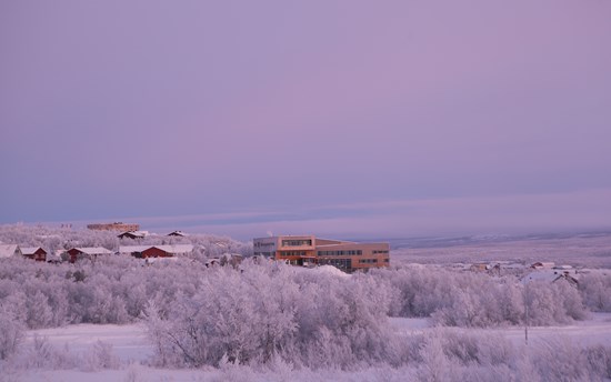 Sámi University of Applied Sciences profile image 11