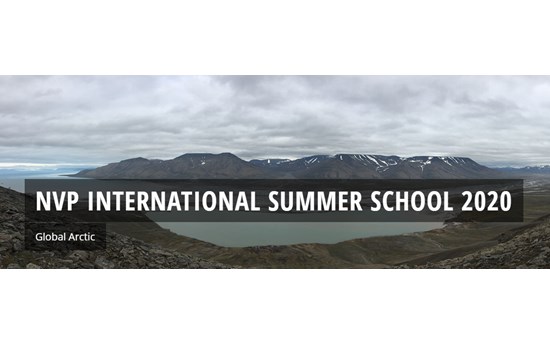 NVP Summer School Global Arctic 2020 Banner