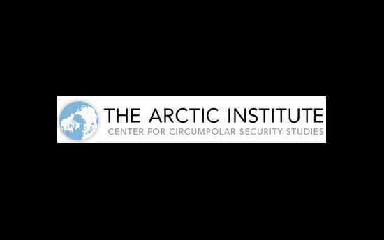 The Arctic Institute logo