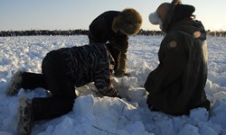 Reindeer pasture analysis in Cherski, Republic of Sakha Yakutia, Russia  PHOTO: Kia Krarup Hansen
