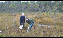 Maria together with Bo Peters (University of Greifswald) at the Puukkosuo fen installing root scanning tubes