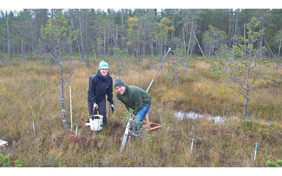 Maria together with Bo Peters (University of Greifswald) at the Puukkosuo fen installing root scanning tubes