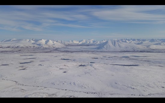 Figure 1. Northern Alaska with a view to the Brooks Range looking south across the tussock tundra landscapes in the foreground.  These tussock tundra systems are becoming snowier and subsequently becoming dominated by shrubs that are leading to greater above and belowground biomass that is being sequester at much higher rates, creating a negative feedback to rising atmospheric CO2 levels (DeFranco et al. 2020)