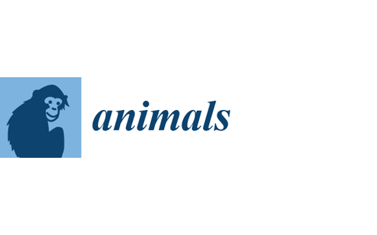 Animals Logo