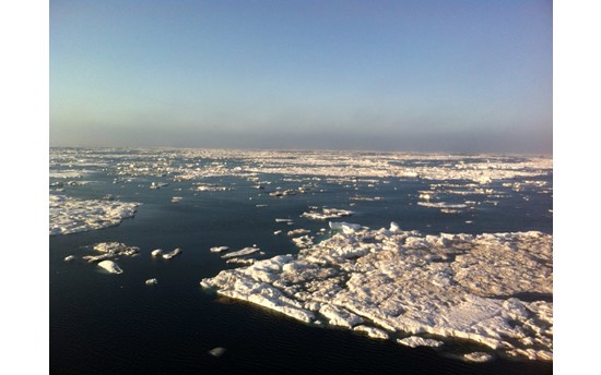 Shrinking sea ice in the Chukchi Sea off the NW coast of Alaska.  Photo J M Welker August 2015 from the US Coast Guard icebreaker, Healy