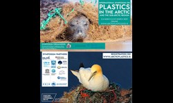 International Symposium On Plastics In The Arctic