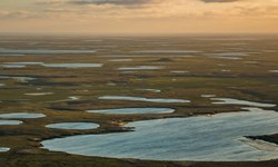 Shared Voices 2021 CHARTER – Towards A Broader Understanding Of Arctic Complexity  PHOTO: Jeff Kerby / National Geographic