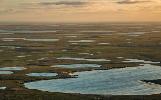 Shared Voices 2021 CHARTER – Towards A Broader Understanding Of Arctic Complexity