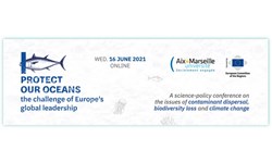 DIRCOM Bruxelles Protect The Oceans Header UK