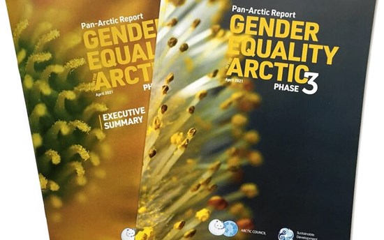 Pan Arctic Report And Executive Summary