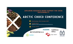 Arctic Choco
