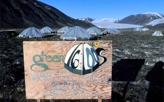 Green Igloos Farm at Alexandra Fiord lowland, Ellesmere Island (78o53’N) with two outlet glaciers in the background. It was developed by Professor Josef Svoboda, of the University of Toronto, Canada, between 1982-84. He has spent over 30 active years in the High Arctic studying plant ecology and plant growth.