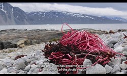 Plastic Pollution Video2023 12 21 120409