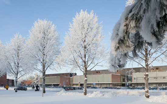 Joensuu campus in winter