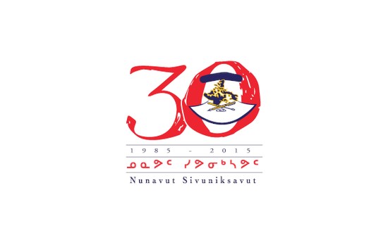 NS@30 conference logo