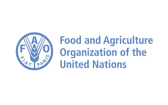 FAO Logo Blue 3Lines En 2