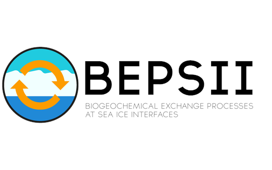 BEPSII Logo