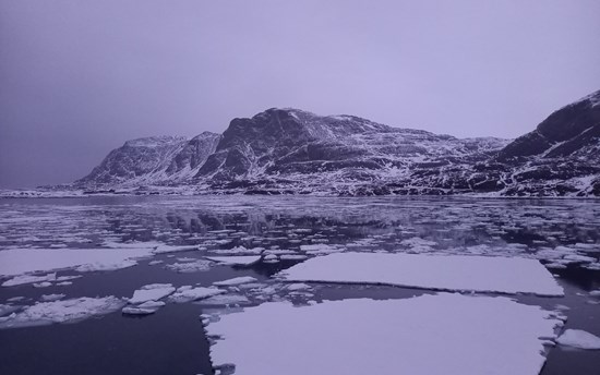 Photo from N2N Staff Mobility in Greenland