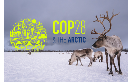 COP28 Debrief Event