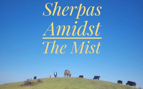 Sherpas Amidst the Mist