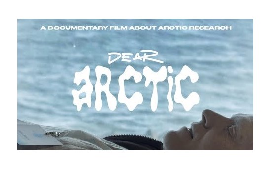 Dear Arctic