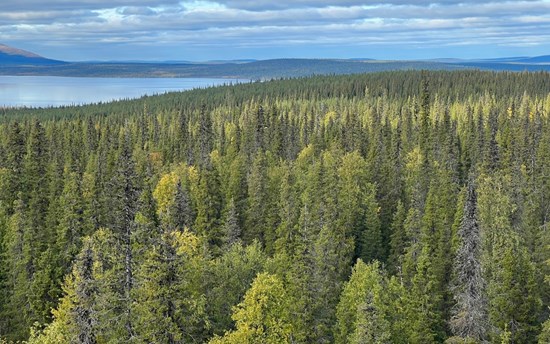 Northern forested system surrounding Pallasjärvi, the area of research in the new Arctic Carbon-water interactions project.