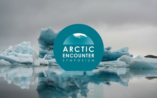Arctic Encounter