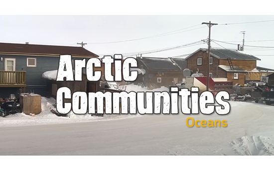 Arctic Communities